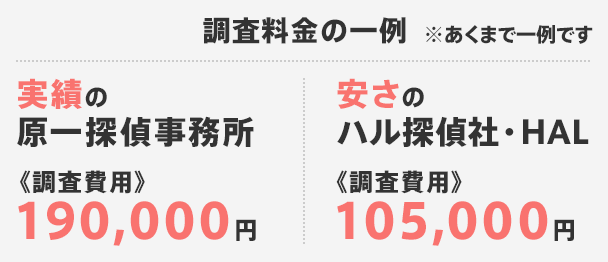調査料金の一例 実績の原一探偵事務所 調査費用 190,000円 安さのハル探偵社・HAL 105,000円 ※あくまで一例です