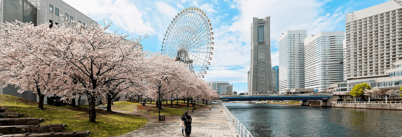 神奈川県横浜市