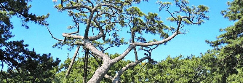 静岡県静岡市離婚度