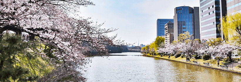 福岡県福岡市利便性