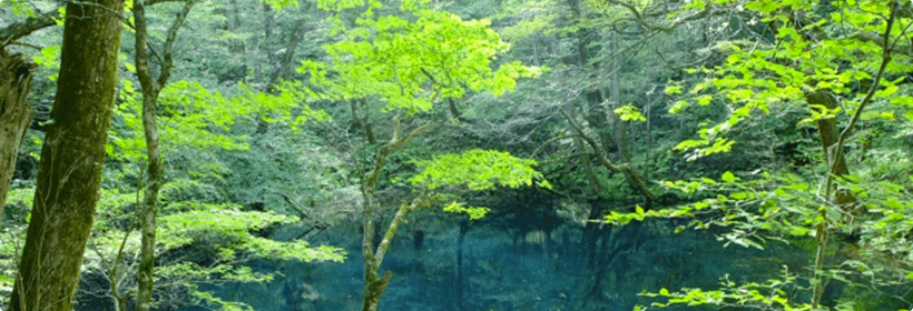 秋田県鹿角市探偵力