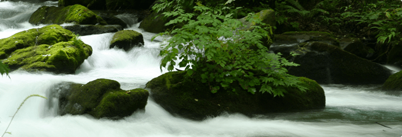 青森県中津軽郡西目屋村探偵力