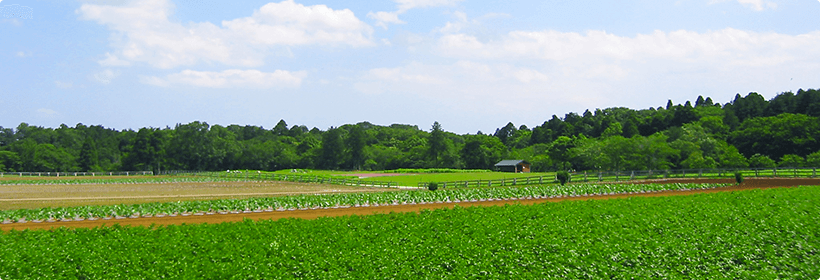 千葉県香取市浮気度