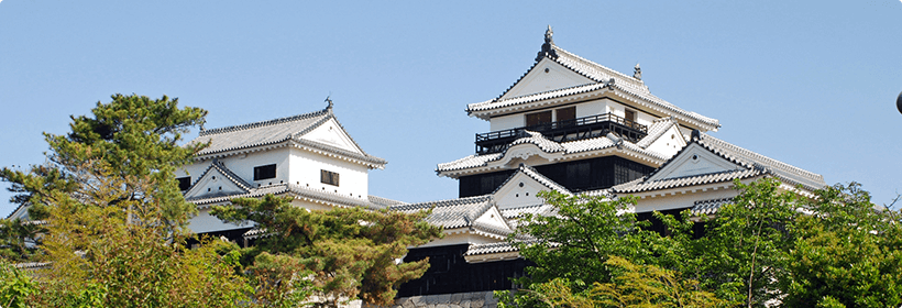 愛媛県西予市探偵力