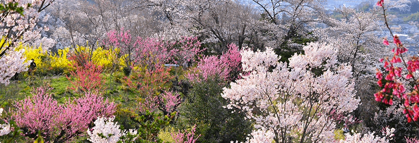 福島県西白河郡西郷村