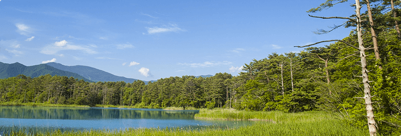 福島県石川郡石川町浮気度