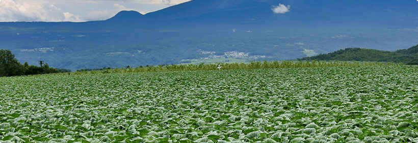 群馬県吾妻郡東吾妻町探偵力