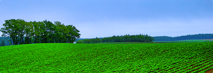 北海道釧路市離婚度