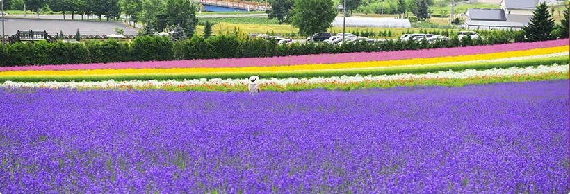 北海道砂川市利便性