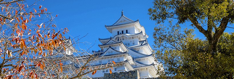 兵庫県尼崎市