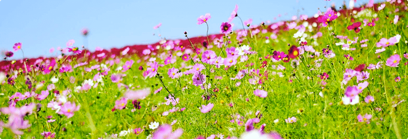 茨城県神栖市利便性