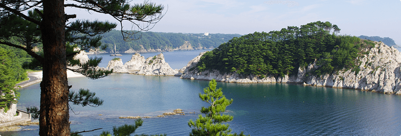 岩手県二戸市浮気度