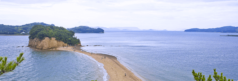 香川県綾歌郡宇多津町浮気度