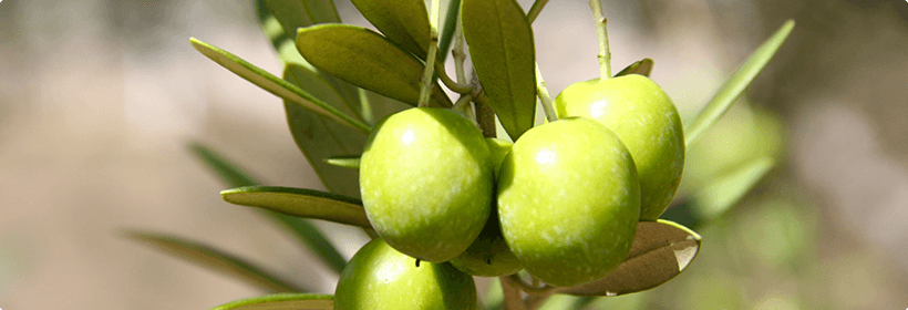 香川県小豆郡小豆島町離婚度