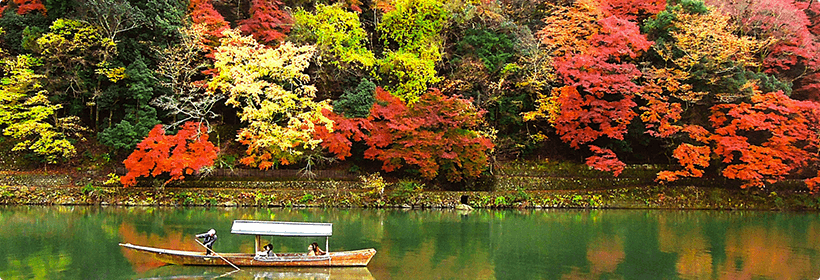 京都府木津川市探偵力