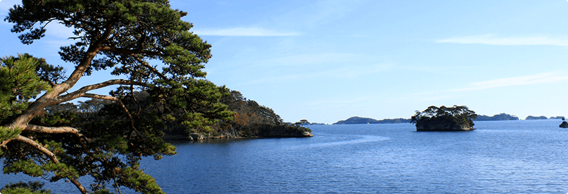 宮城県柴田郡村田町