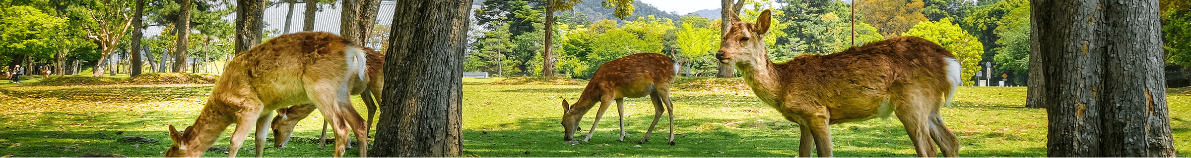 奈良県