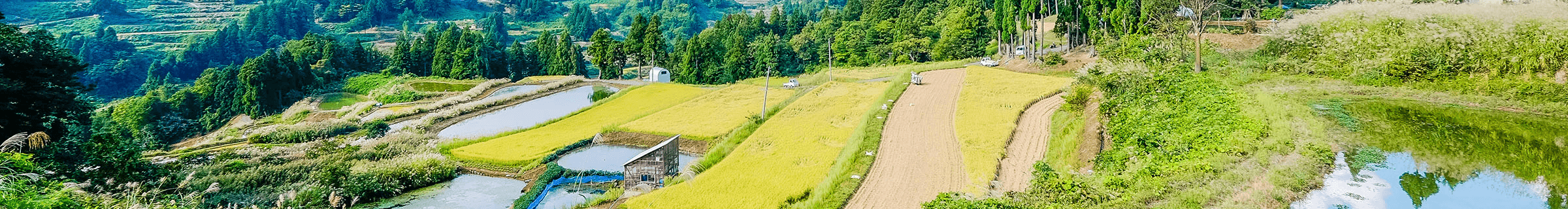 新潟県