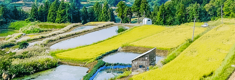 新潟県五泉市