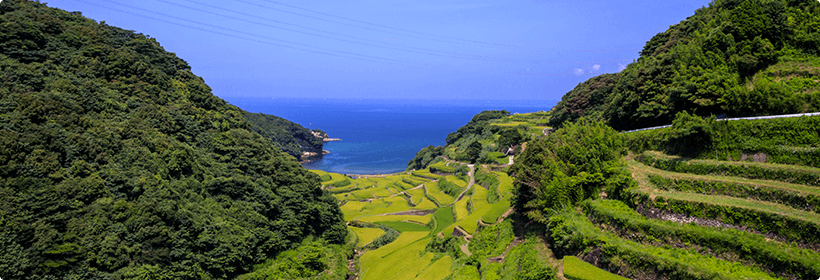 佐賀県伊万里市浮気度