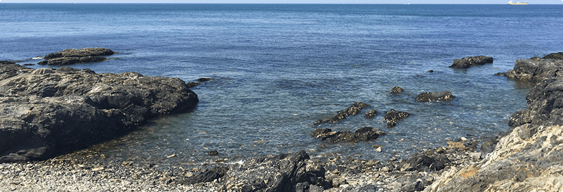 佐賀県西松浦郡有田町利便性