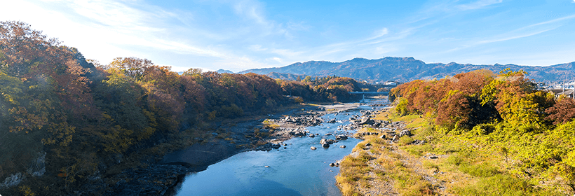 埼玉県浮気探偵との浮気調査でトラブルが起きた際の相談先