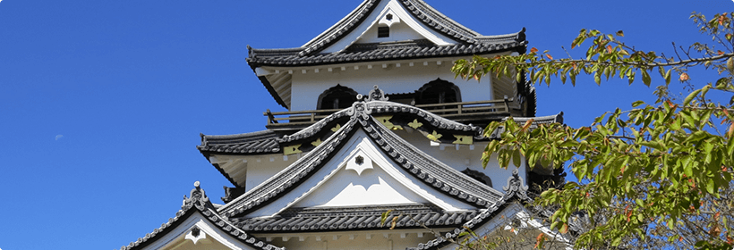 滋賀県近江八幡市離婚度