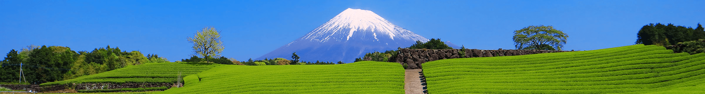 静岡県