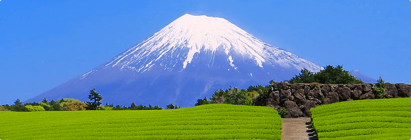 静岡県周智郡森町