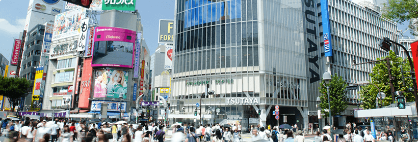 東京都江東区離婚度