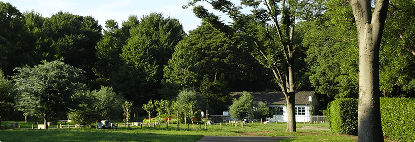 東京都荒川区利便性