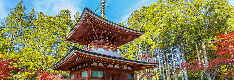 和歌山県西牟婁郡白浜町探偵力