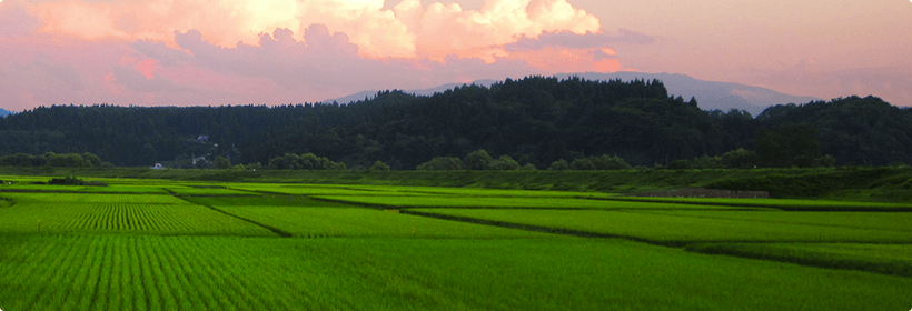 山形県飽海郡遊佐町利便性