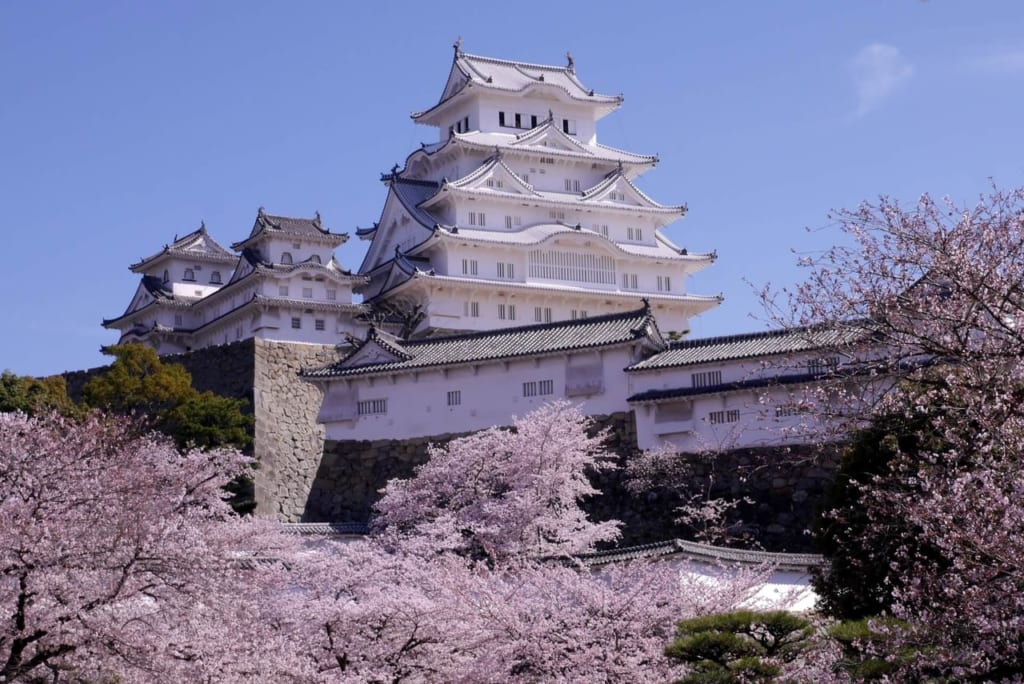 姫路城と桜