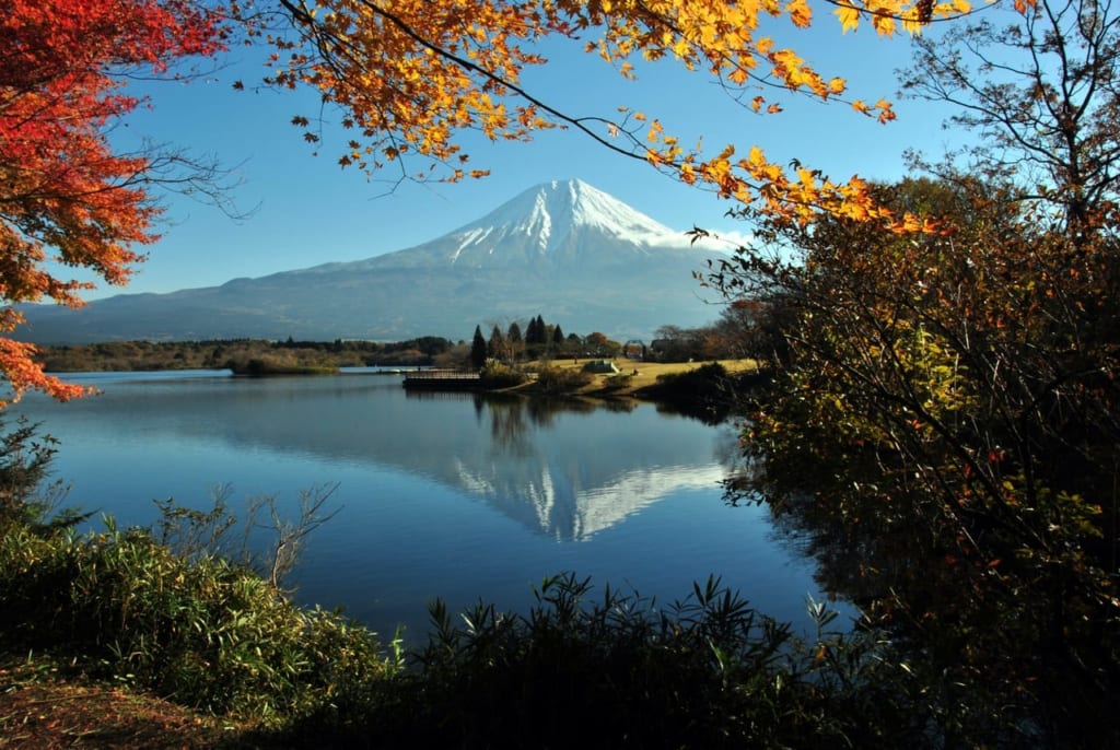 紅葉と富士山