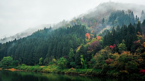 東北