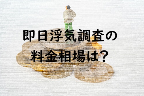 即日浮気調査の料金