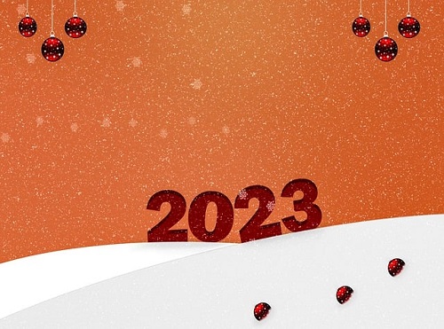 2023年