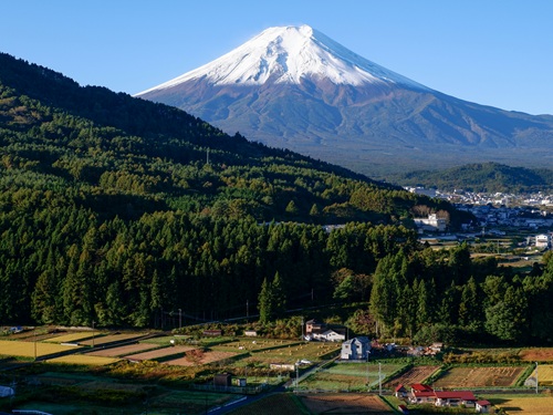 山梨