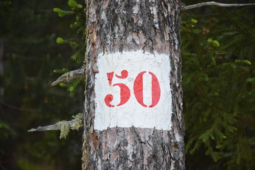 50歳